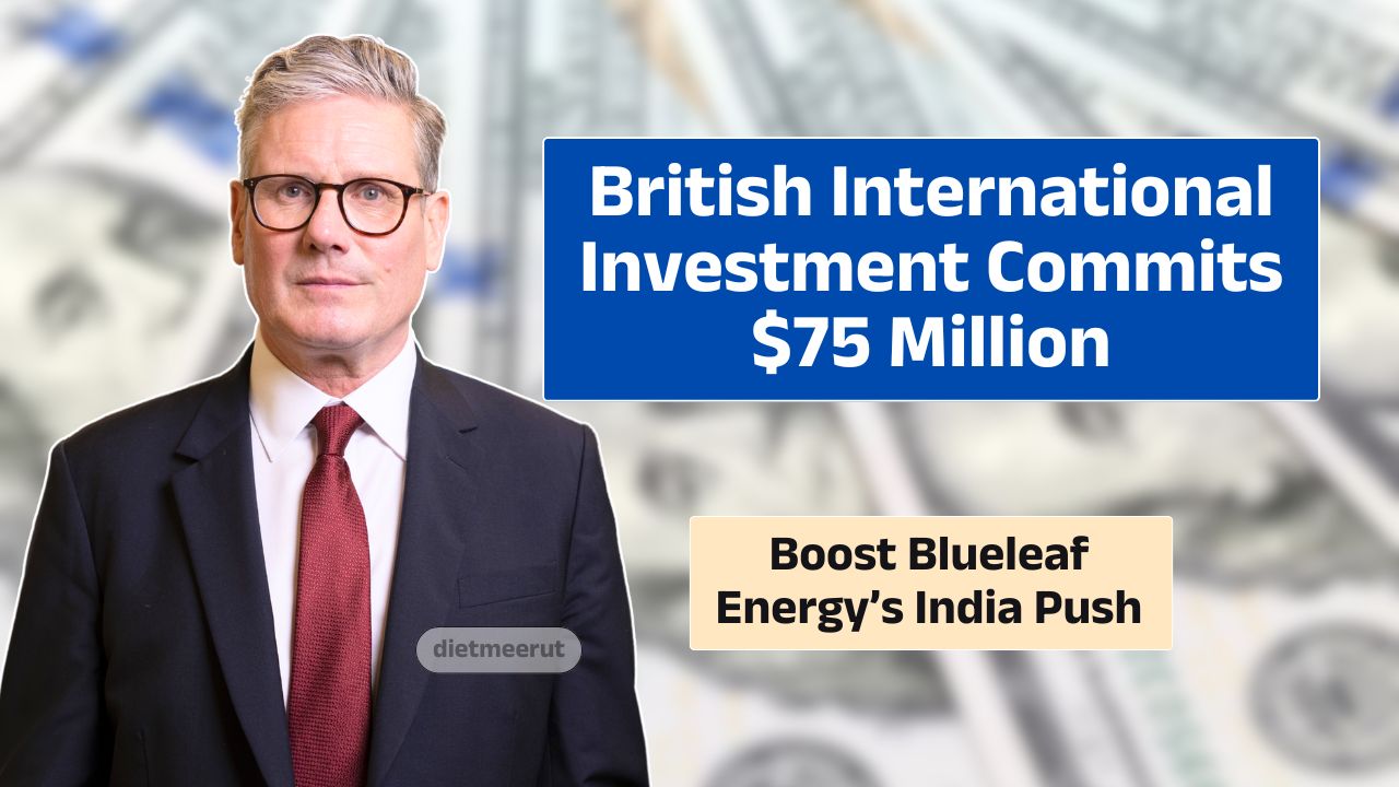 British International Investment
